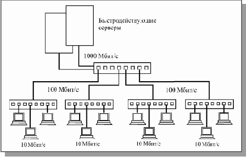 Основы локальных сетей