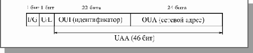 Основы локальных сетей