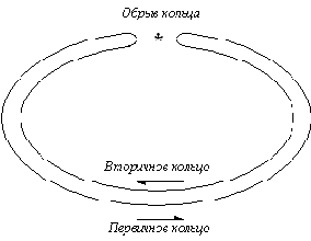 Базовые технологии локальных сетей