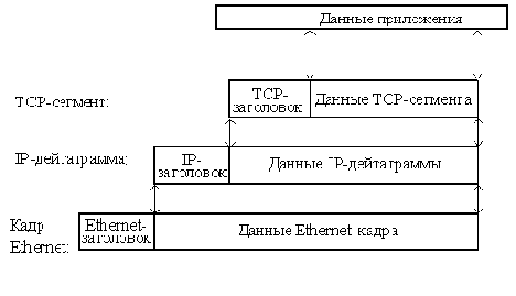  . TCP-IP
