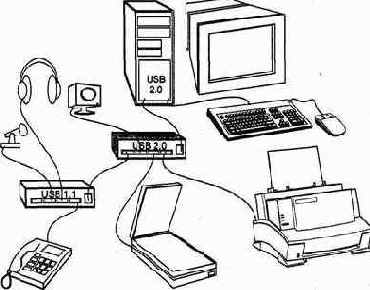 Организация шины USB